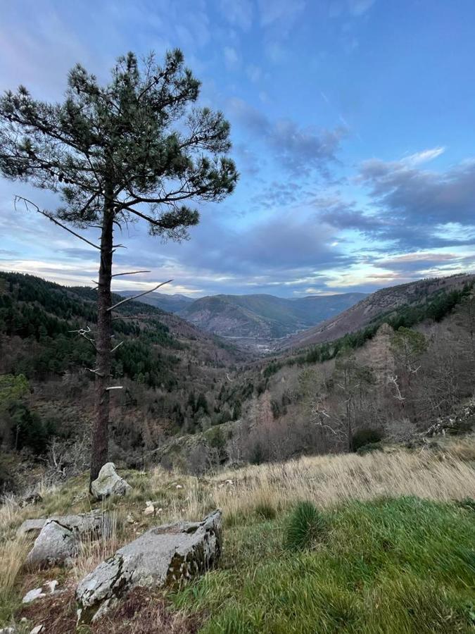 Glaciar Guest House Manteigas Εξωτερικό φωτογραφία